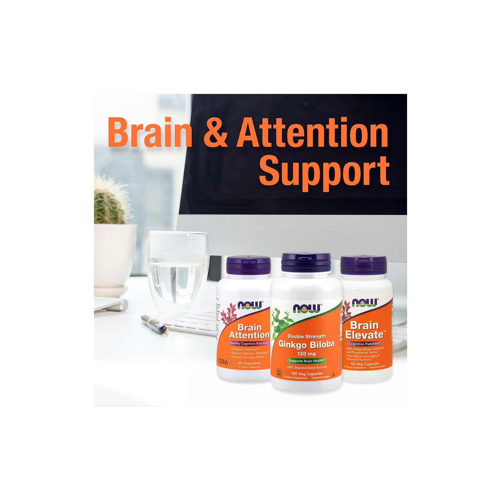 Ginkgo Biloba Dupla Força - 120mg, 100 vcaps, Now Foods