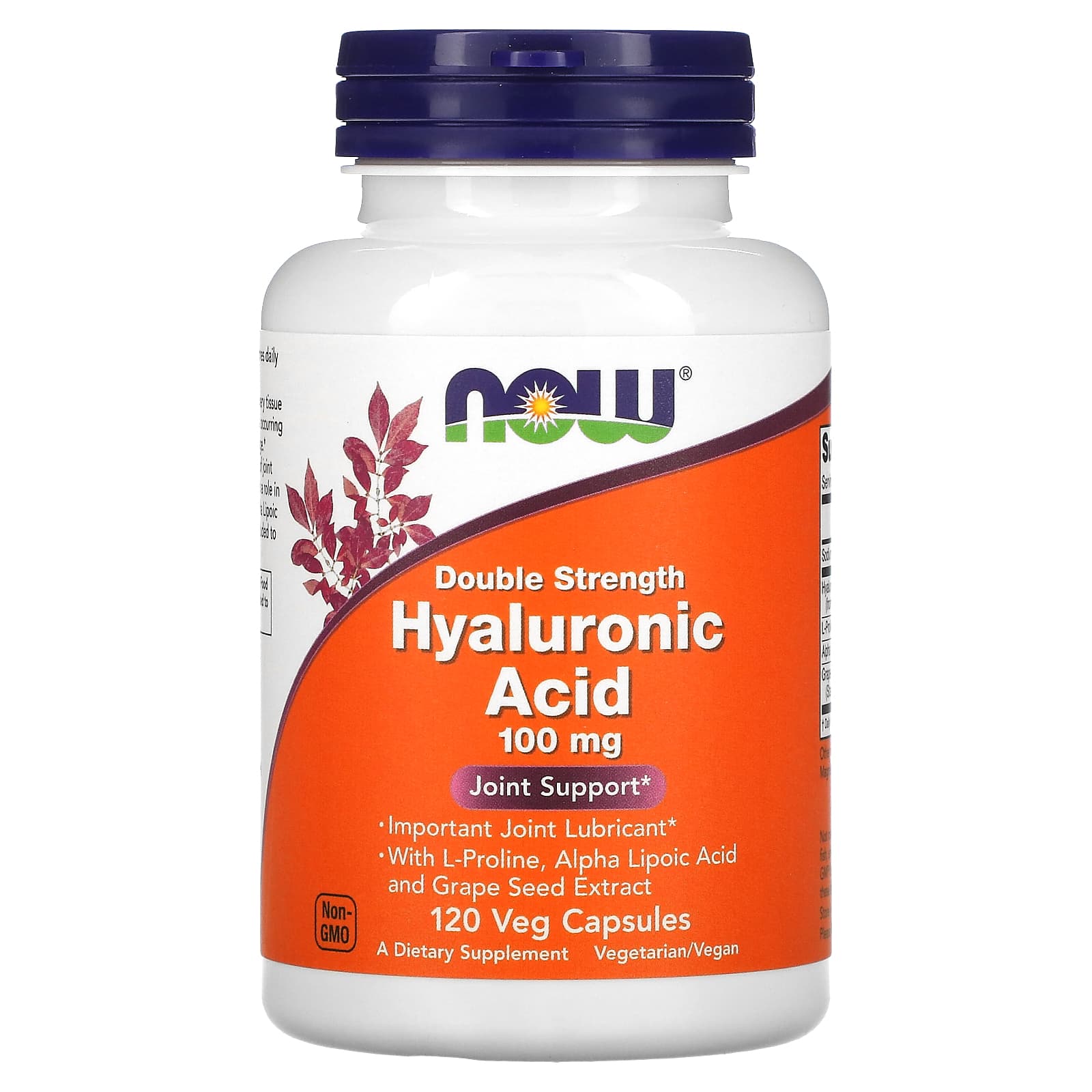 Ácido Hialurônico - 100mg Dupla Força, 120 vcaps, Now Foods