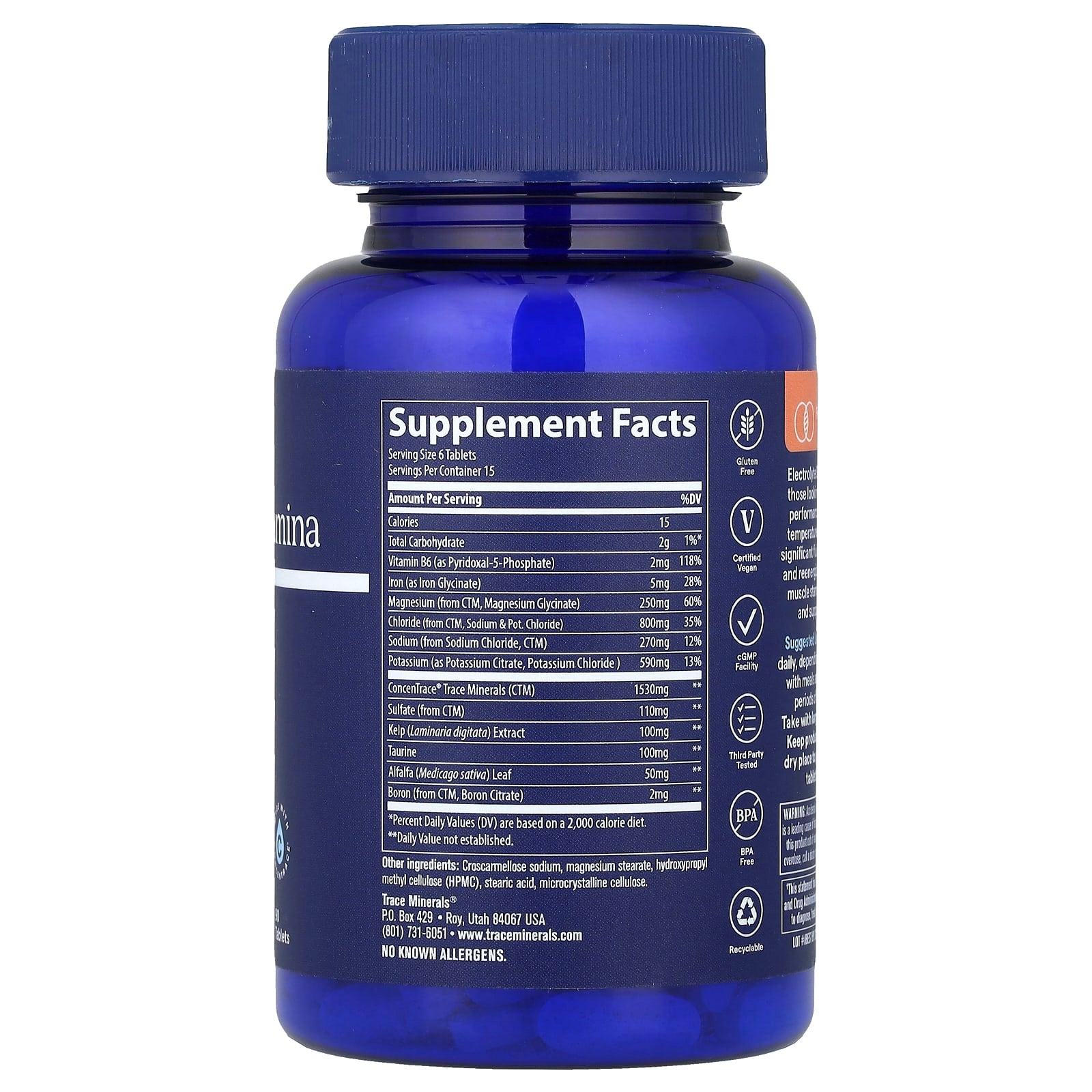 Electrolyte Stamina, 90 comprimidos, Trace Minerals Research