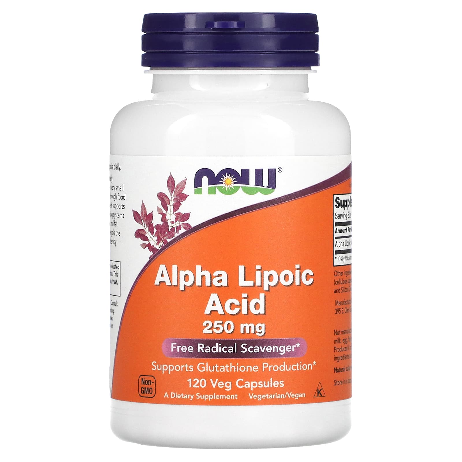 Ácido Alfa Lipóico - 250mg, 120 vcaps, Now Foods