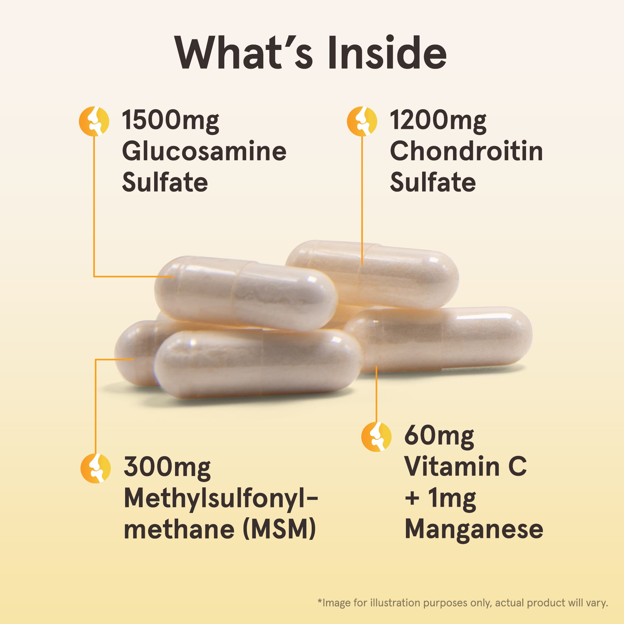 Glucosamina + Condroitina + MSM - 120 cápsulas, Jarrow Formulas