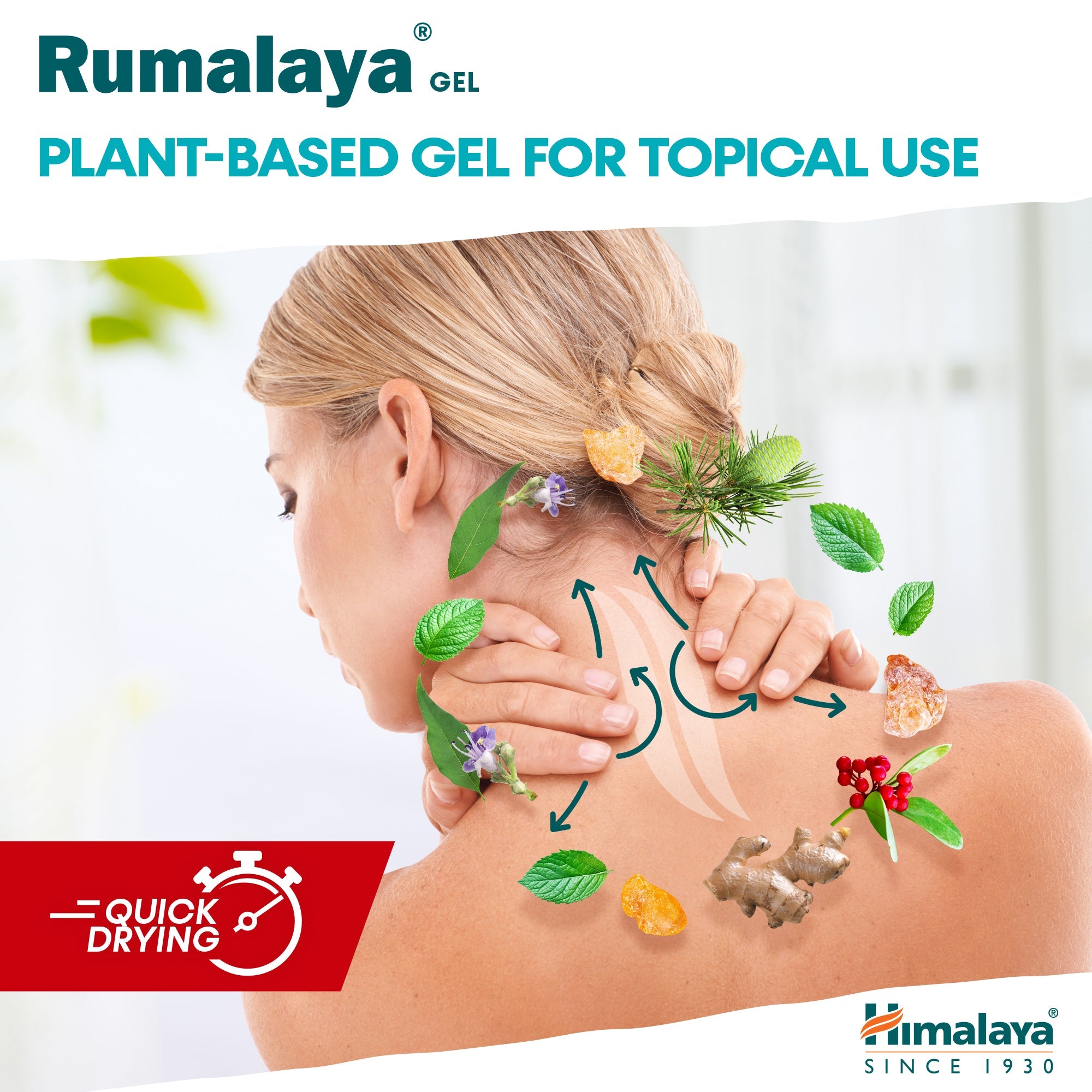 Gel Rumalaya - 50g - Himalaya