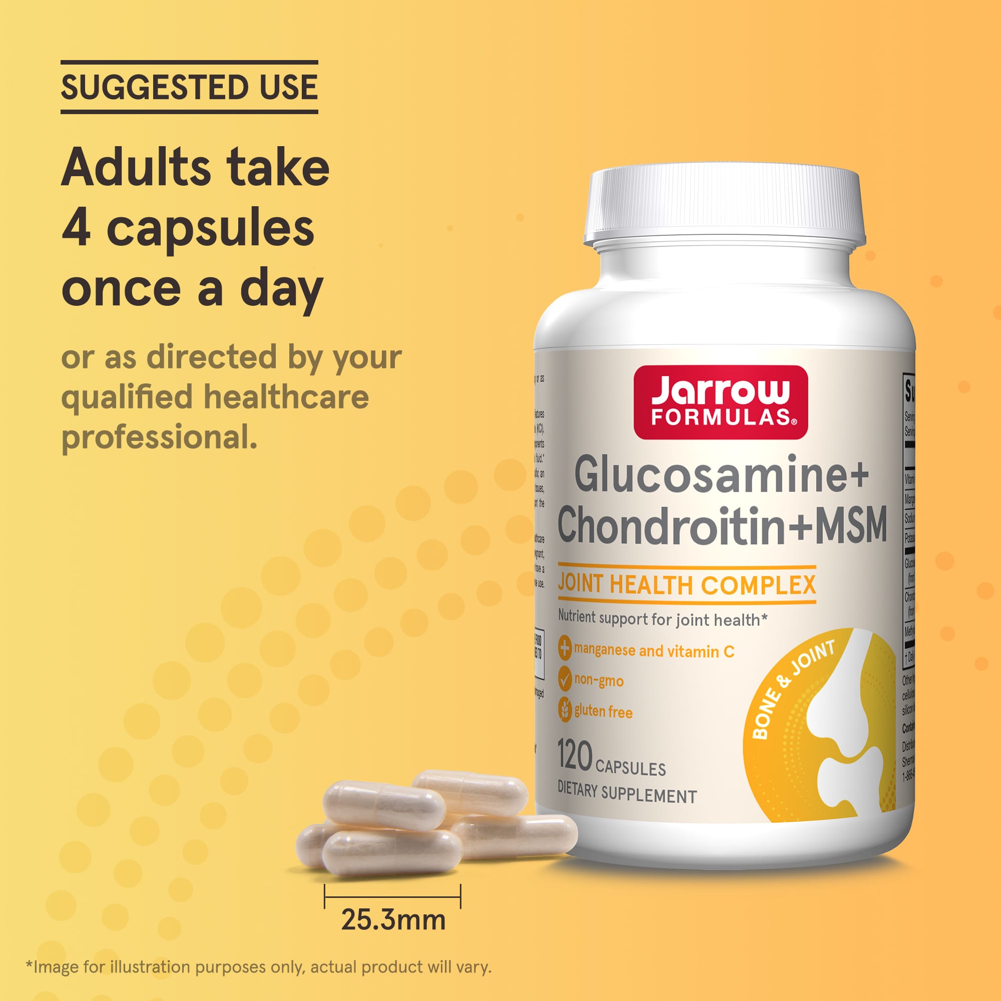 Glucosamina + Condroitina + MSM - 120 cápsulas, Jarrow Formulas
