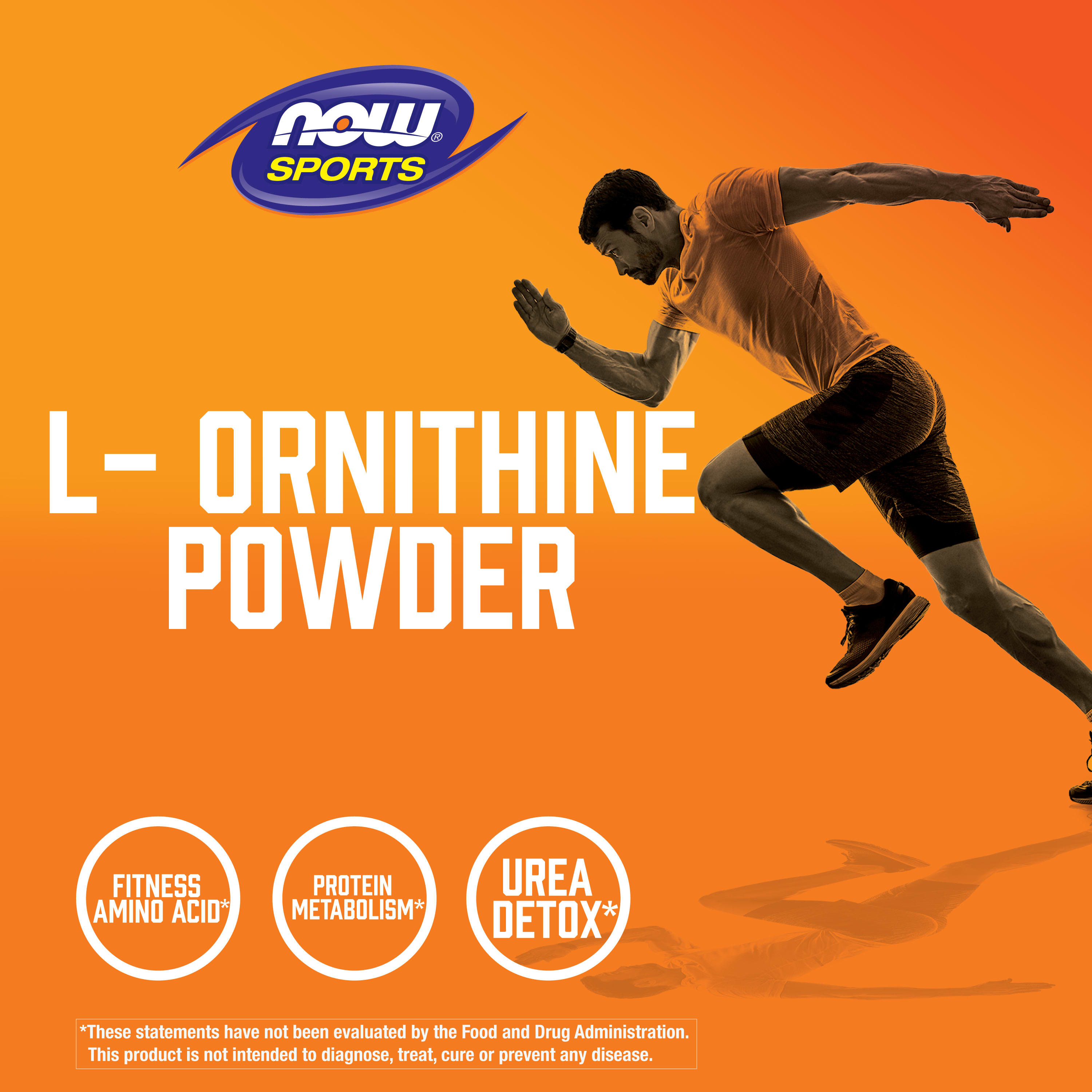 L-Ornitina - Pó, 227 gramas, Now Foods