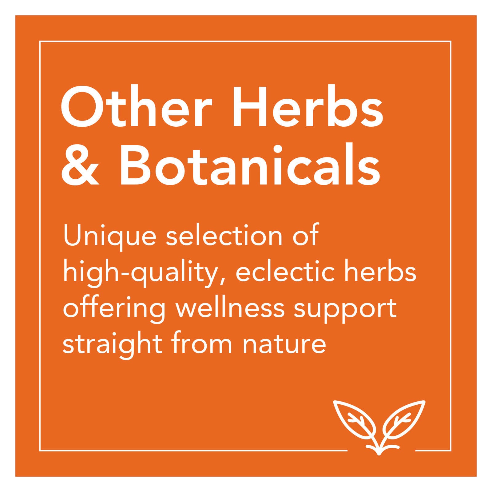Sambucus Zinco-C, 60 lozenges, Now Foods