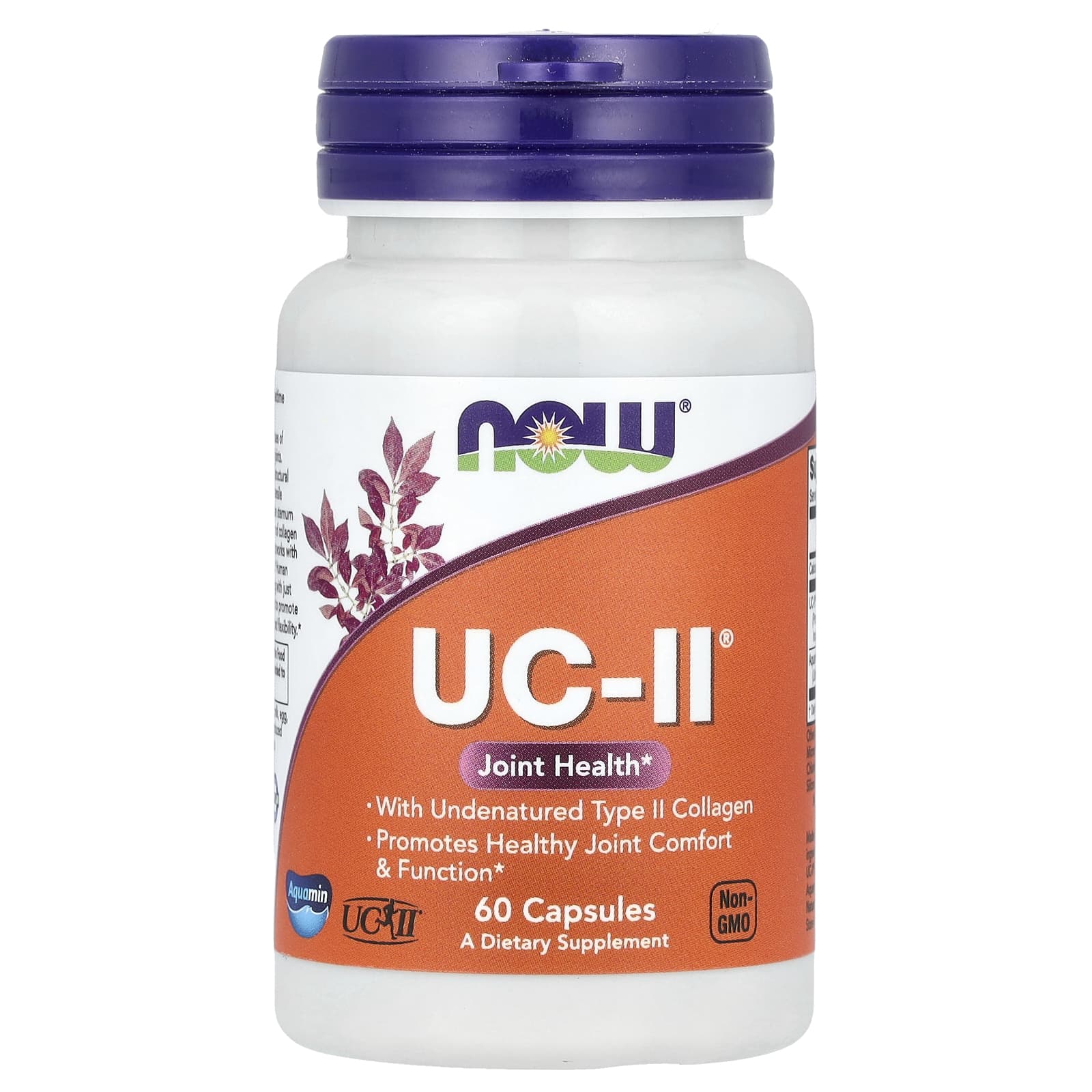 Colágeno Tipo II Não Desnaturado UC-II, 60 caps, Now Foods