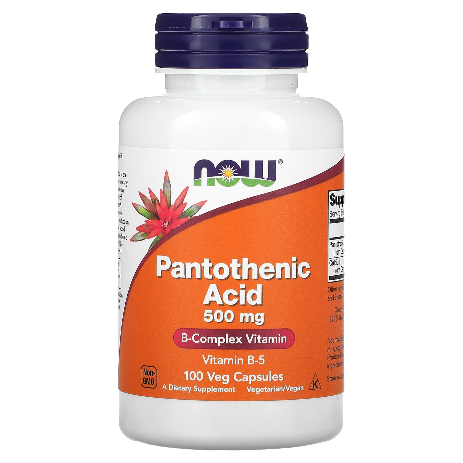 Ácido Pantotênico - 500mg, 100 caps, Now Foods