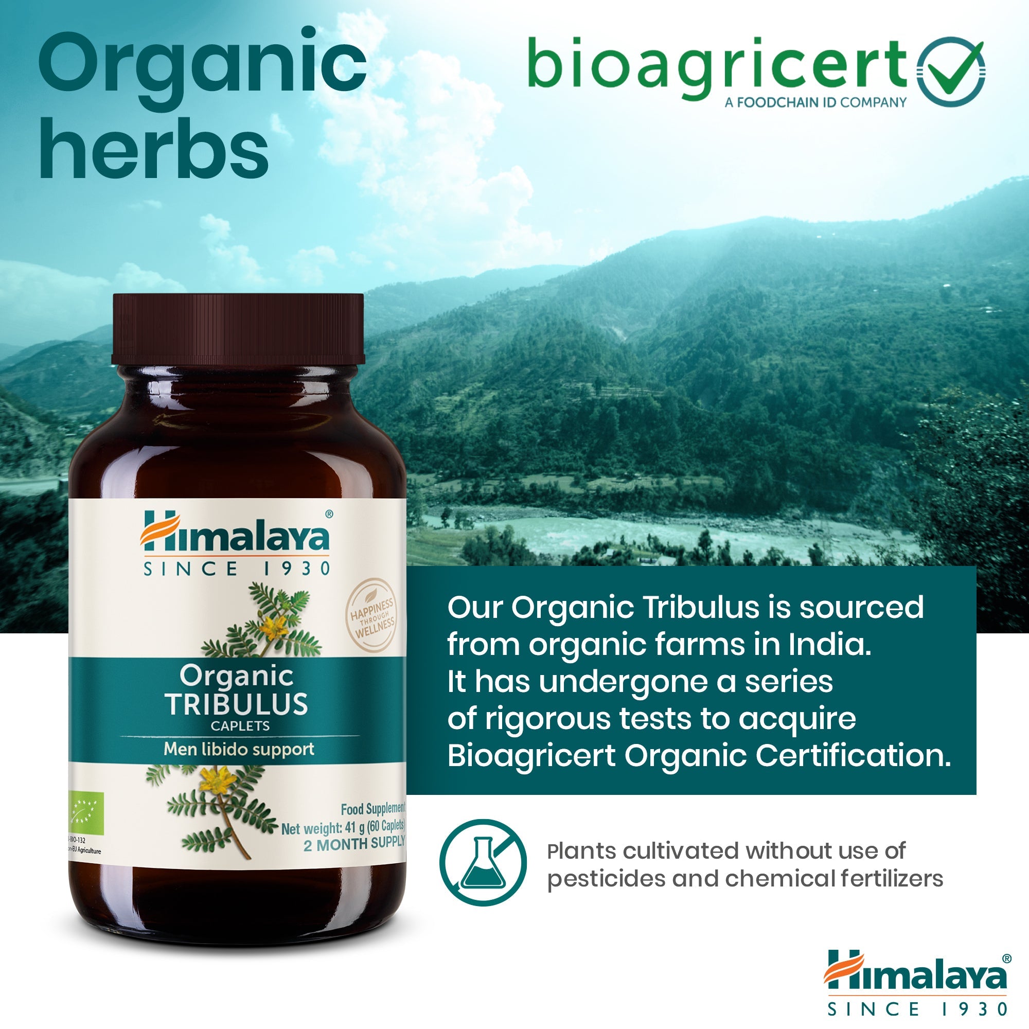 Tribulus - 60 comprimidos - Himalaya