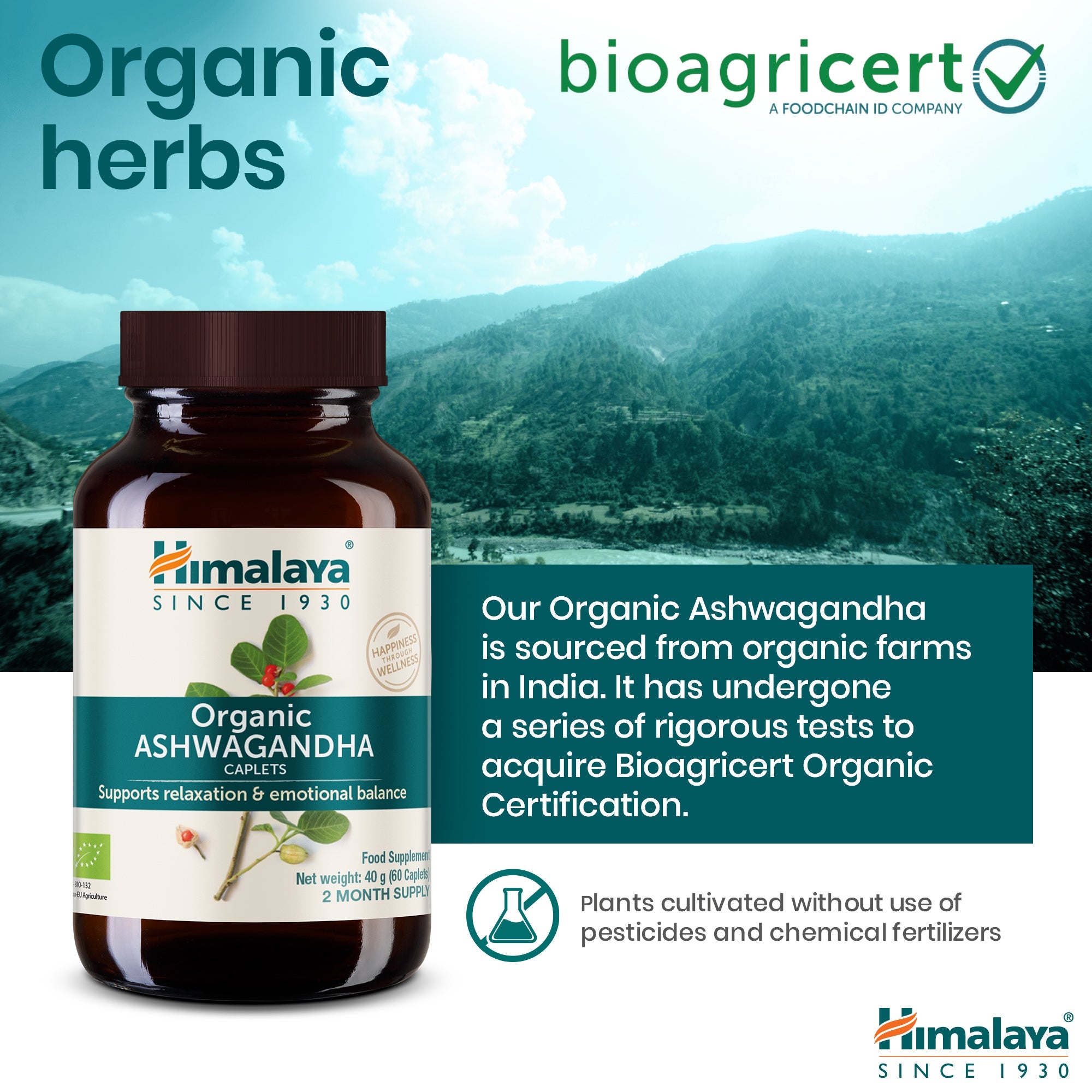 Ashwagandha - 60 comprimidos - Himalaya