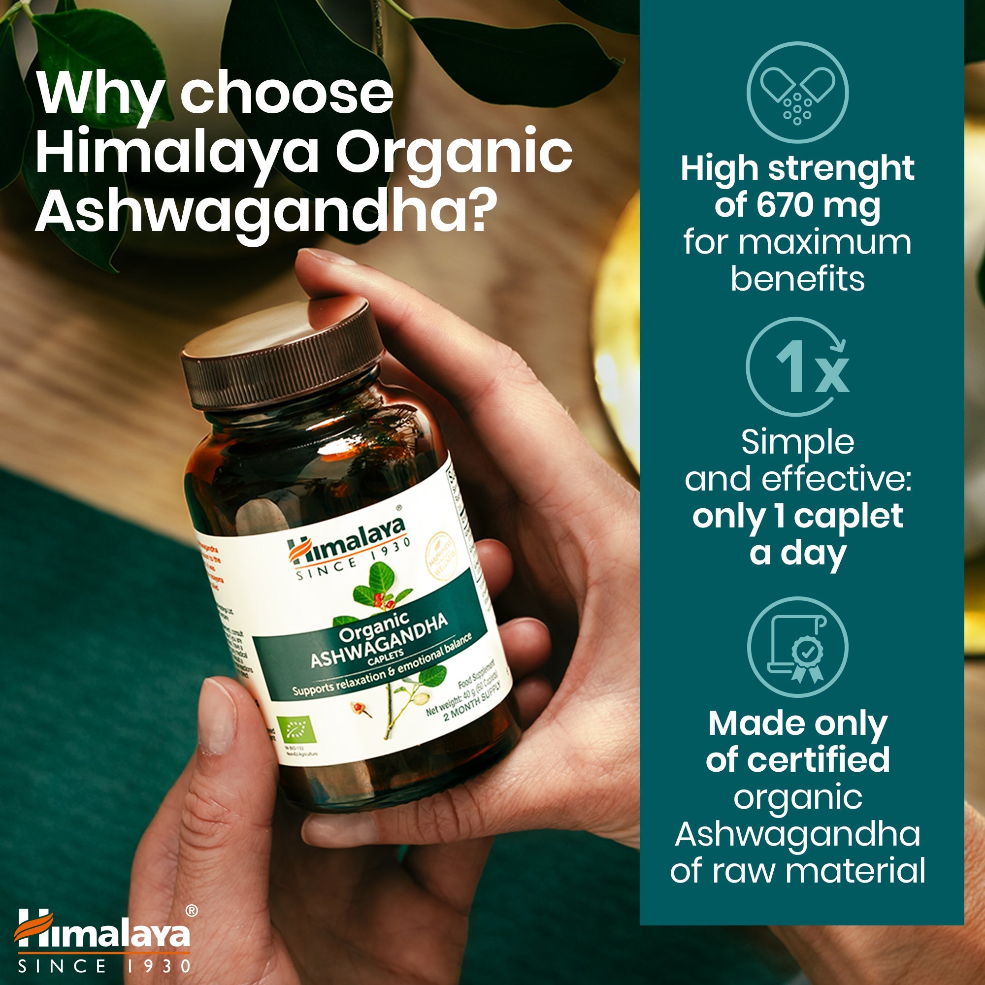 Ashwagandha - 60 comprimidos - Himalaya