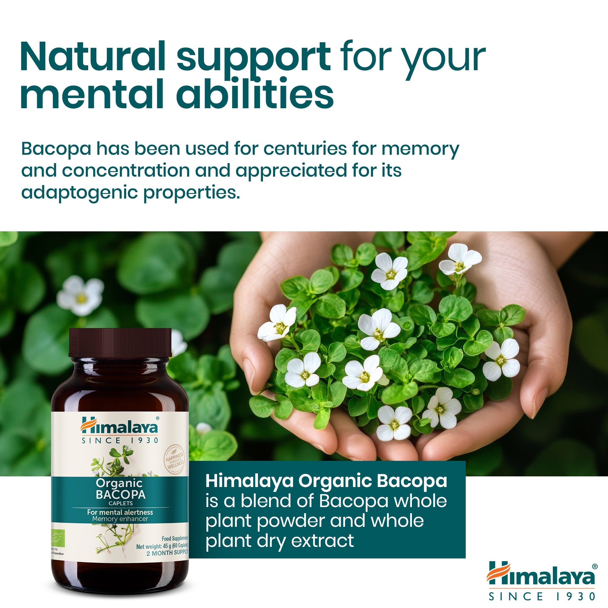 Bacopa - 60 cápsulas - Himalaya