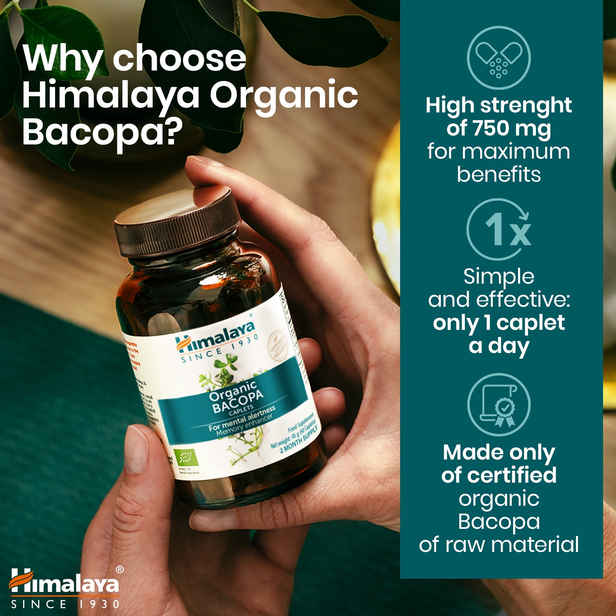 Bacopa - 60 cápsulas - Himalaya
