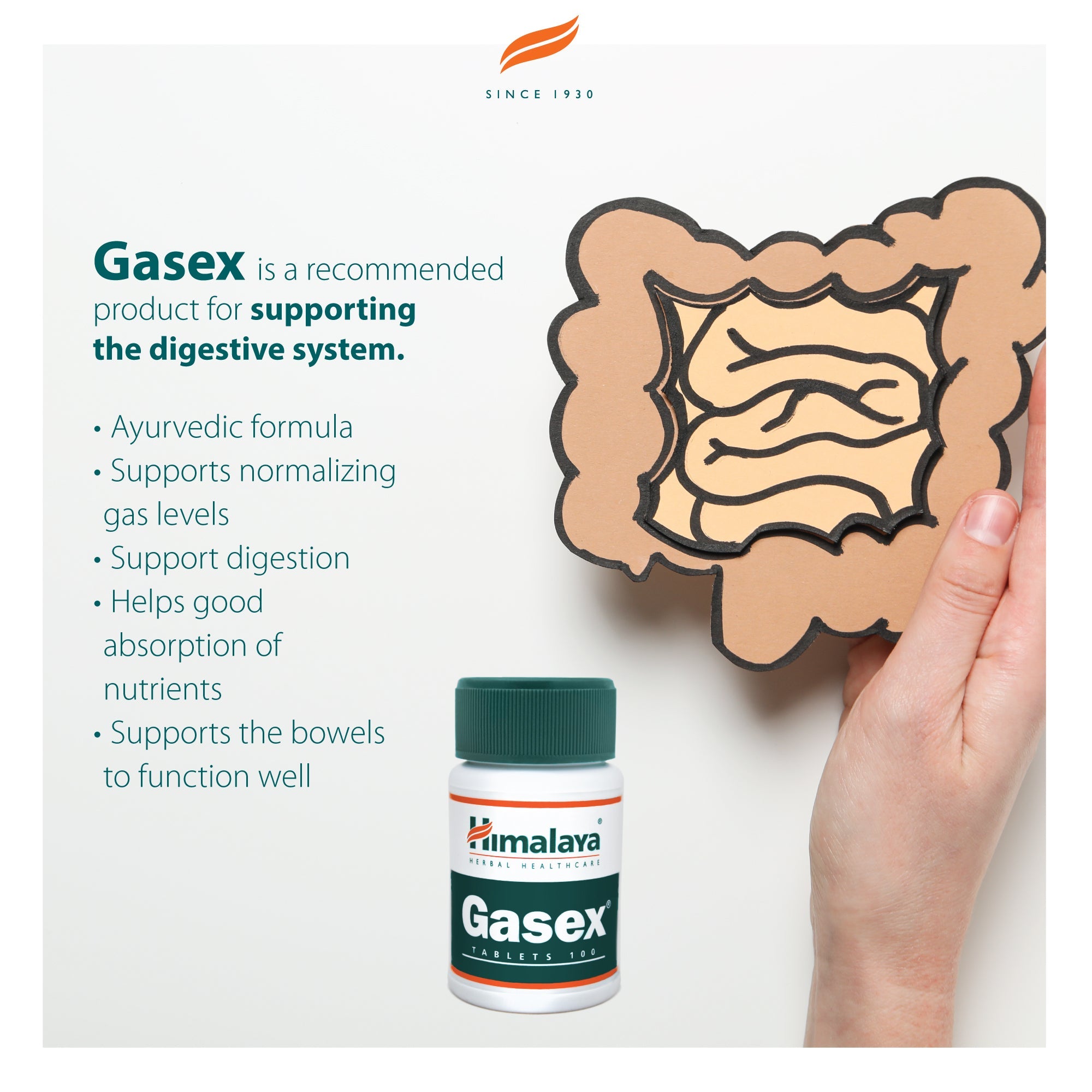 Gasex - 100 comprimidos - Himalaya