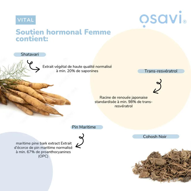 Vitamina C 1000 mg em pó, 300 g, Osavi