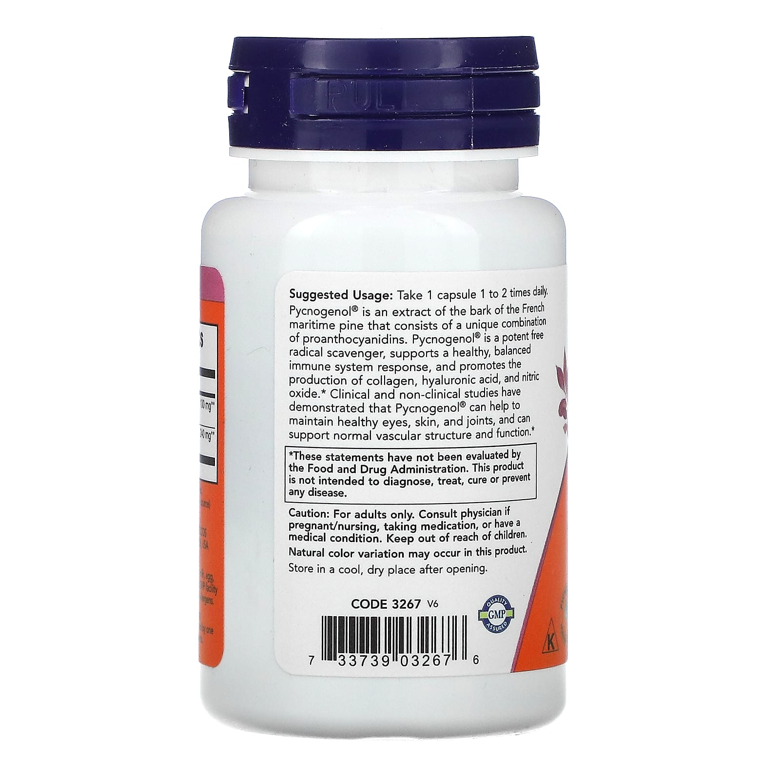Picnogenol - 100mg, 60 vcaps, Now Foods
