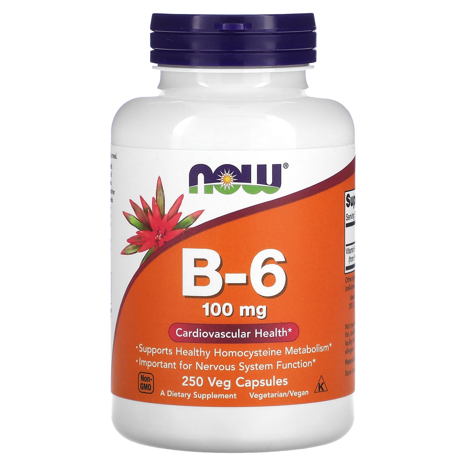 Vitamina B-6 - 100mg, 250 caps, Now Foods