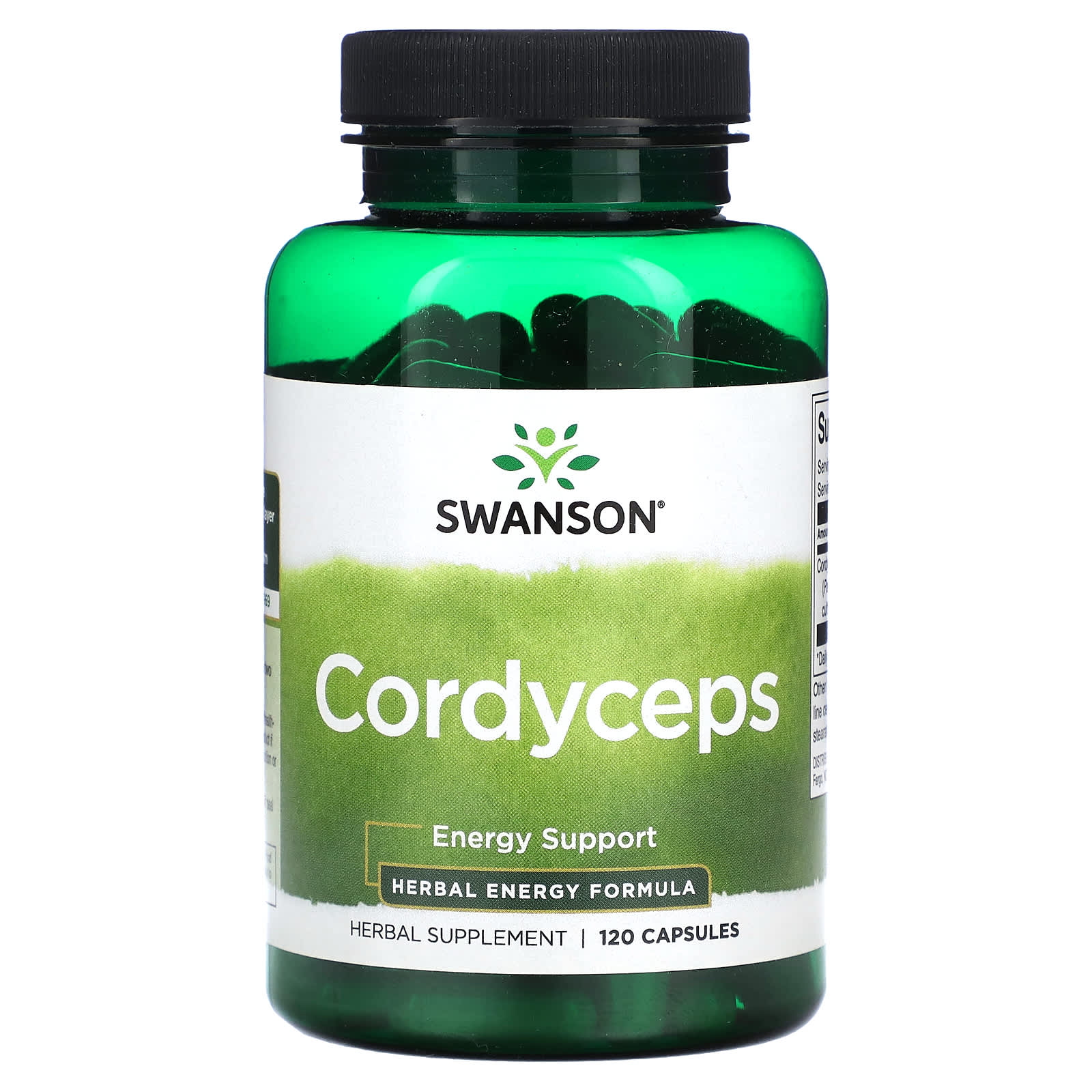 Cordyceps