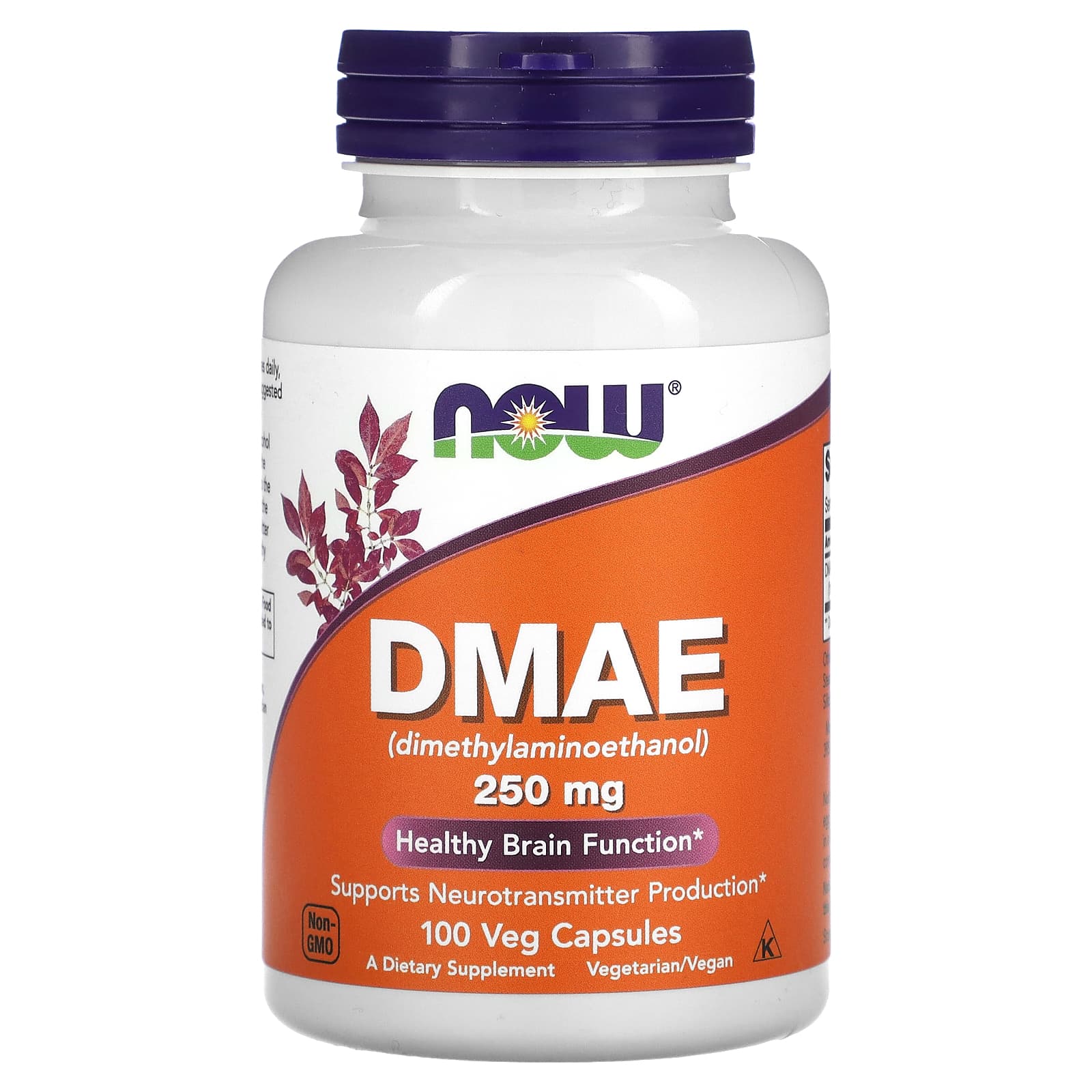 DMAE (dimetilaminoetanol), 250 mg, 100 vcaps, Now Foods