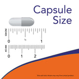 Picnogenol - 30mg, 60 vcaps, Now Foods