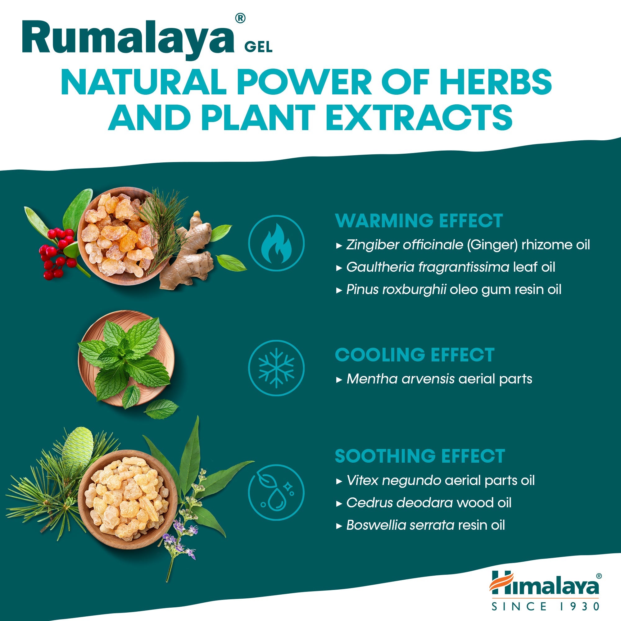 Gel Rumalaya - 50g - Himalaya
