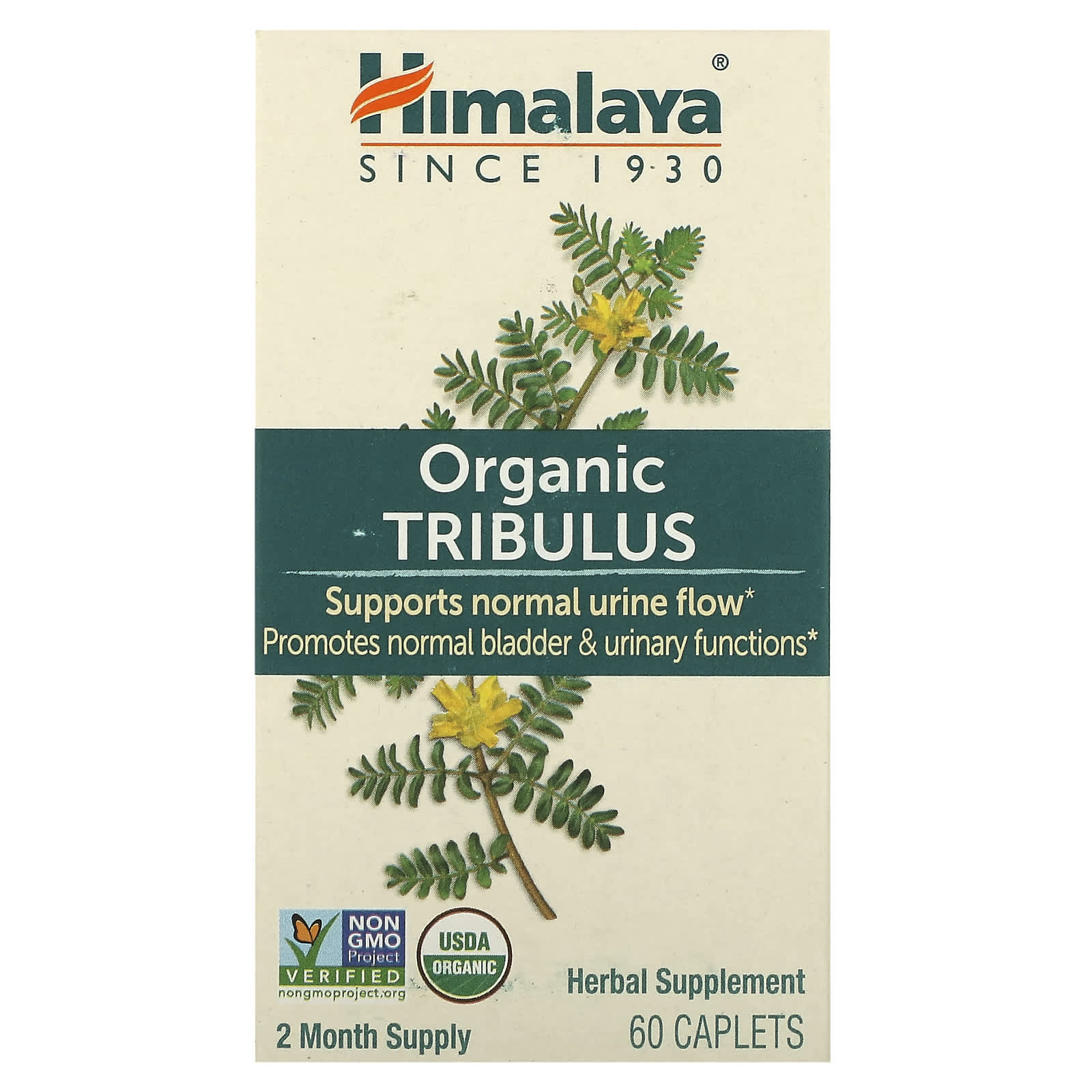 Tribulus - 60 comprimidos - Himalaya