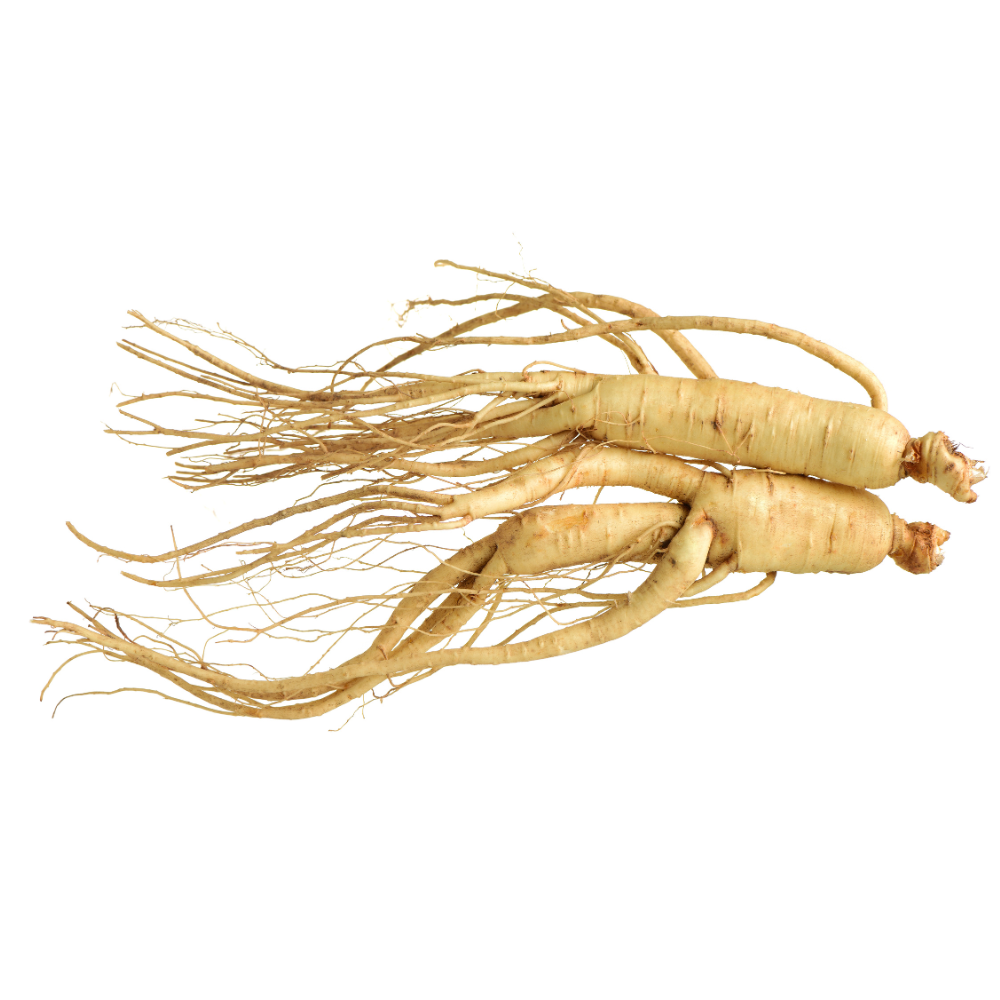 Ginseng
