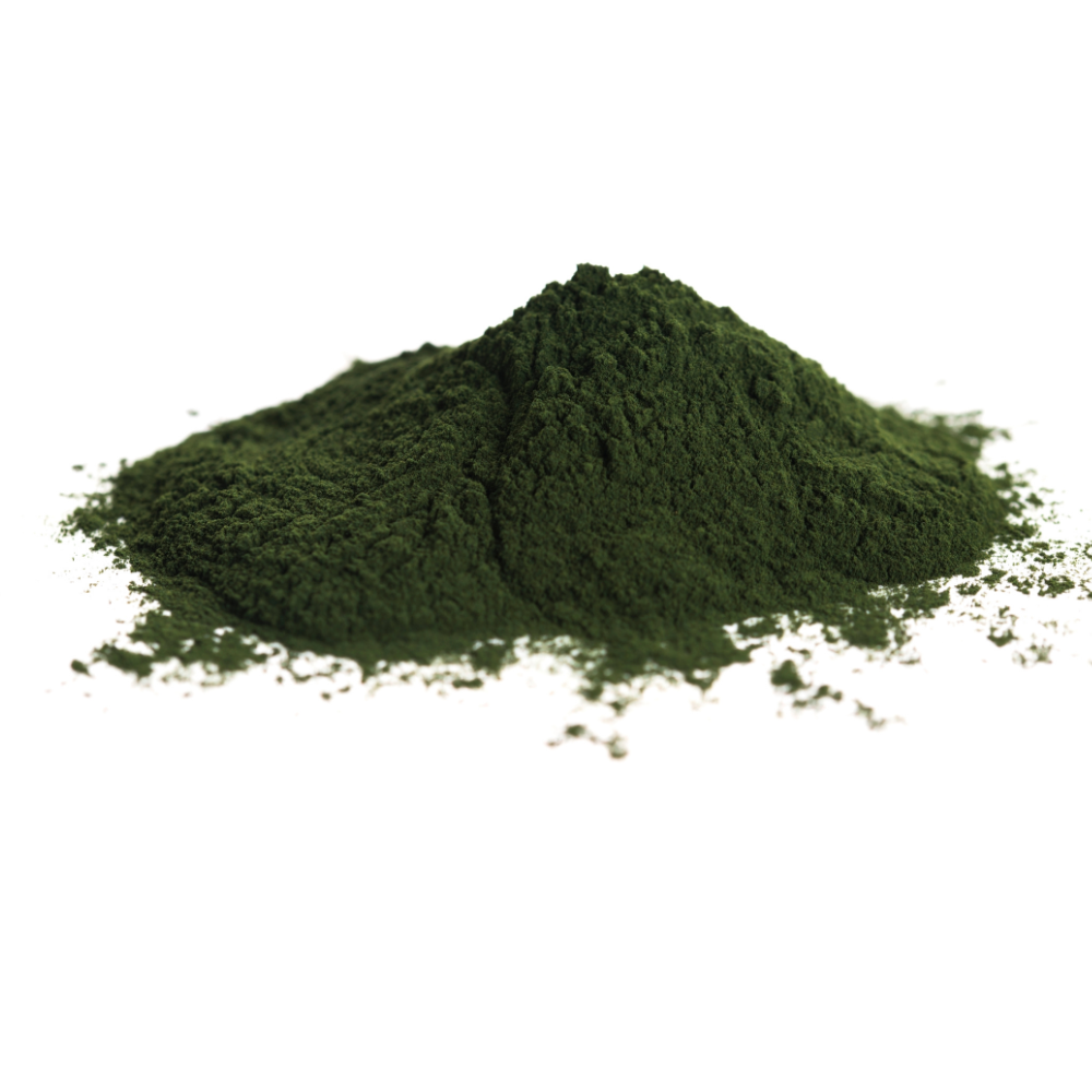 Chlorella