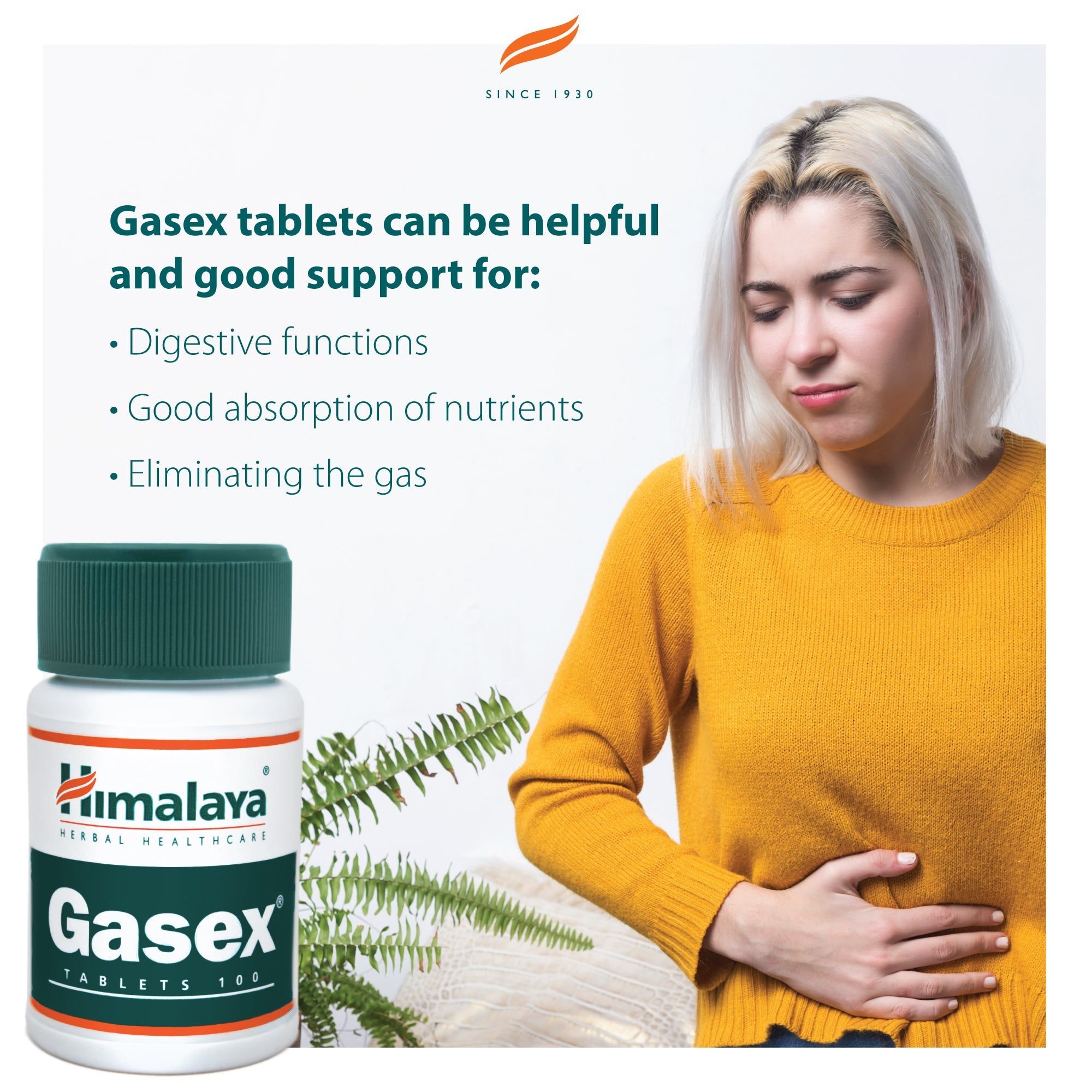 Gasex - 100 comprimidos - Himalaya