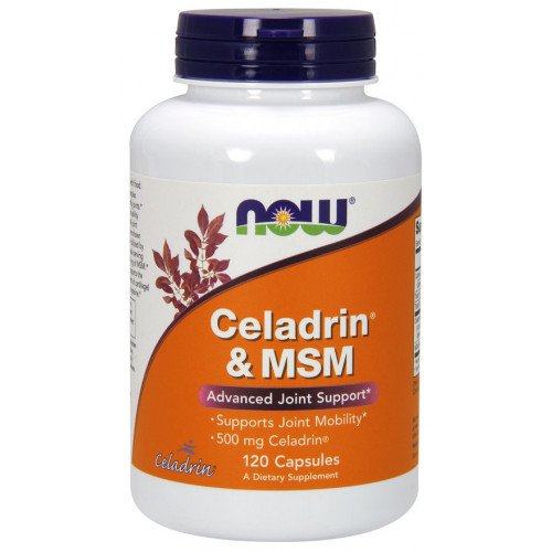 Celadrin e MSM, 500 mg, 120 caps, Now Foods