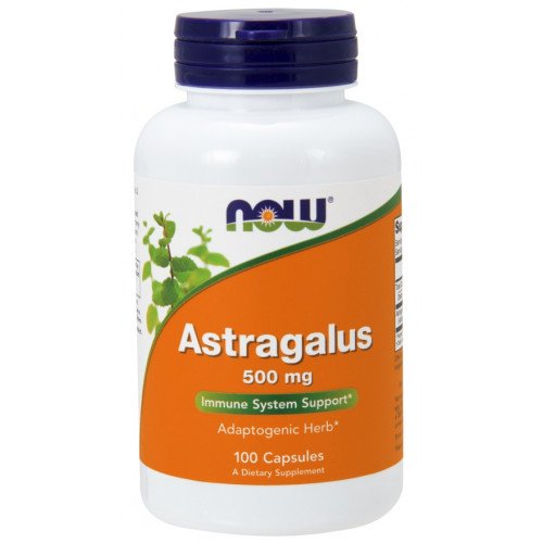 Astragalus 500 mg, 100 cápsulas vegetais, Now Foods