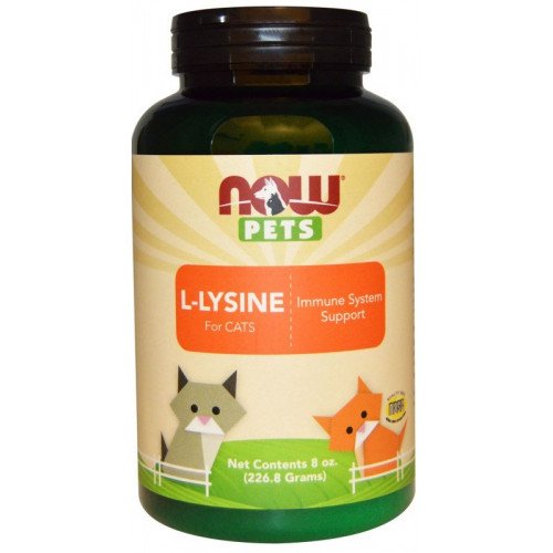 Animais de estimação, L-Lisina para gatos, 226 gramas, Now Foods