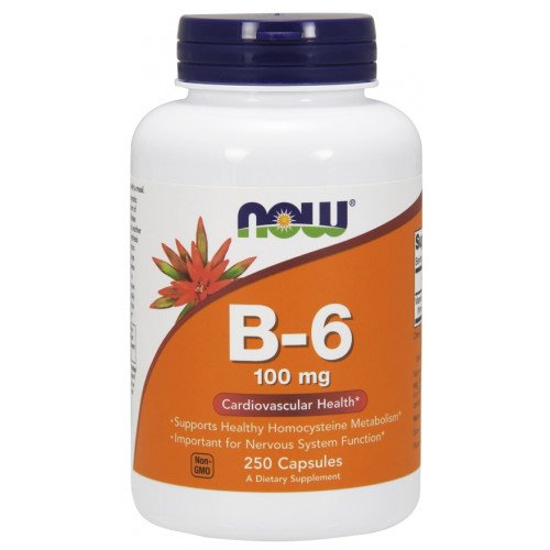 Vitamina B-6 - 100mg, 250 caps, Now Foods