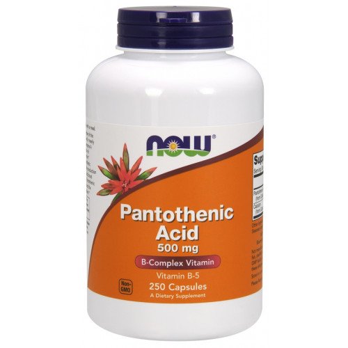 Ácido Pantotênico - 500mg, 250 caps, Now Foods