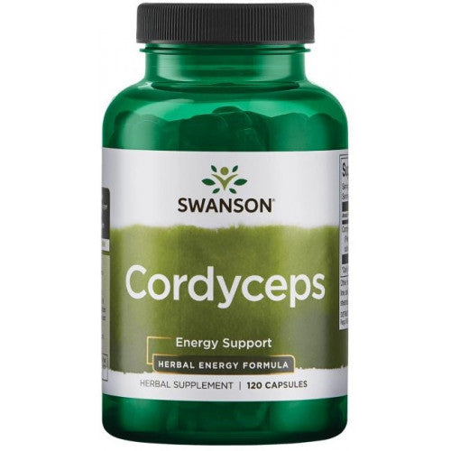 Cordyceps